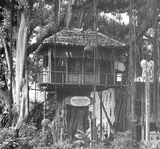 Donn’s Treehouse